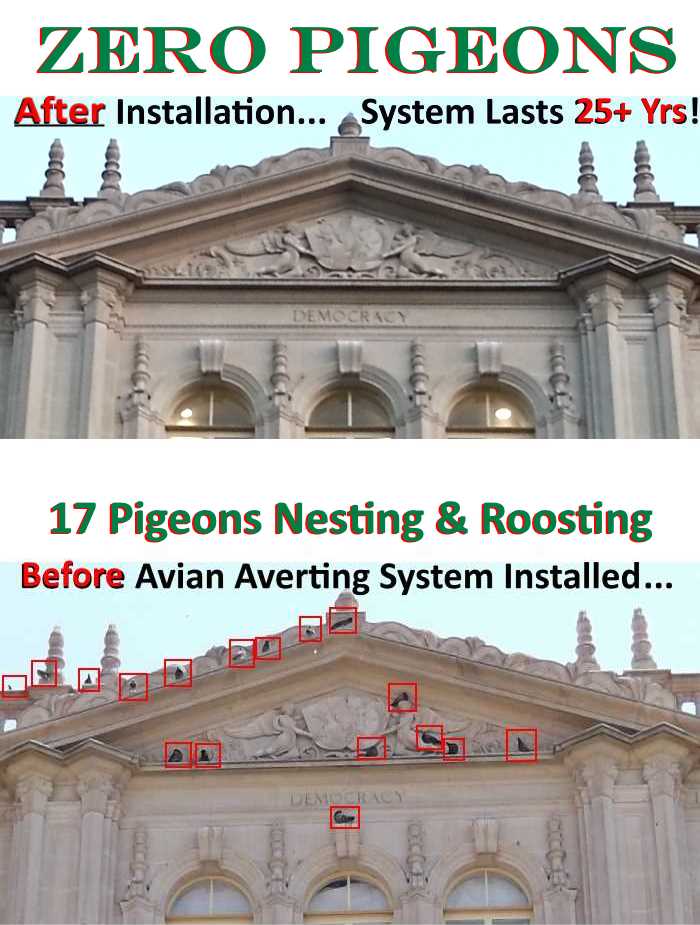 Avian Averting System before and after historical bldg. photo