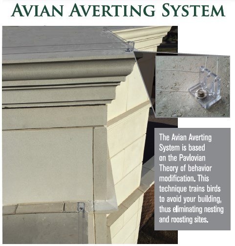 Avian Averting System close up insulator and wire photo